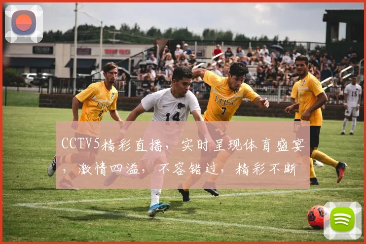 CCTV5精彩直播，实时呈现体育盛宴，激情四溢，不容错过，精彩不断，不容错过