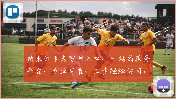 纳米云节点官网入口，一站式服务平台，专业可靠，三步轻松访问，体验非凡