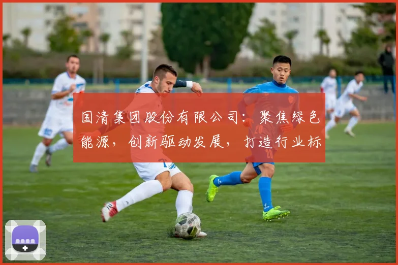 国清集团股份有限公司：聚焦绿色能源，创新驱动发展，打造行业标杆，引领未来趋势