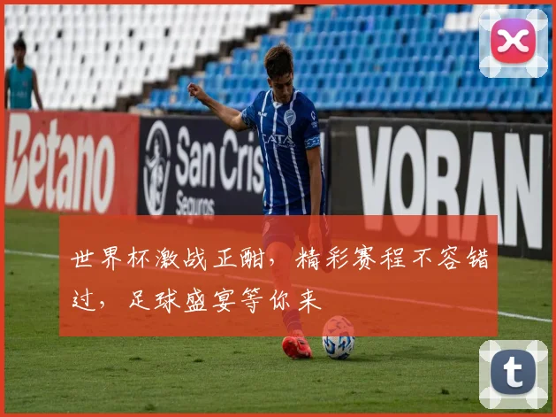 世界杯激战正酣，精彩赛程不容错过，足球盛宴等你来